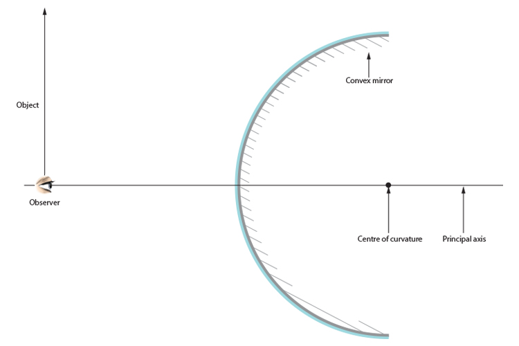 Convex mirrors and objects larger than the mirror
